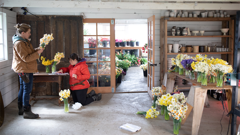 Erin Benzakein and Jill Jorgensen cataloging narcissus varieties